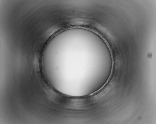 X0000103961305200809191502