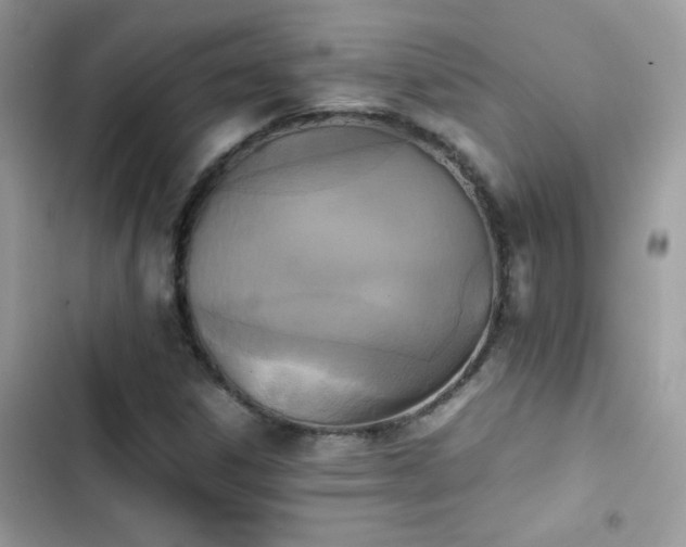X0000103961306200809191502