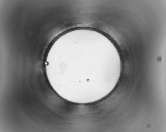 X0000103961308200809191502