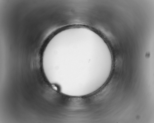 X0000103961310200809191502