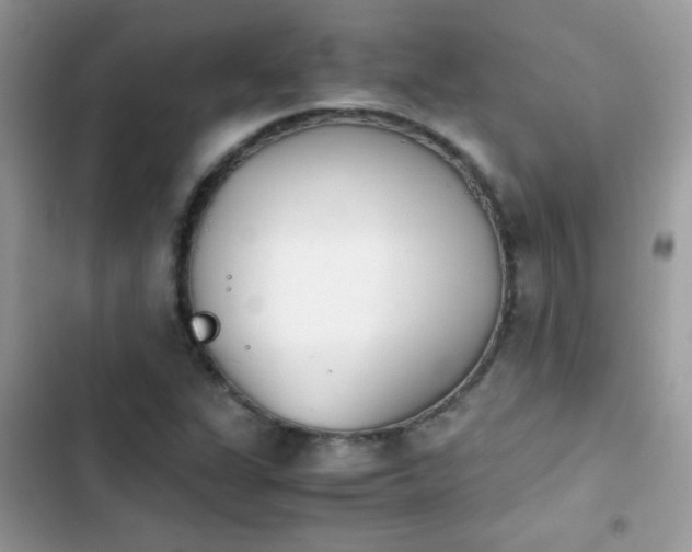 X0000103961311200809191502