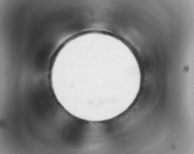 X0000103961312200809191502