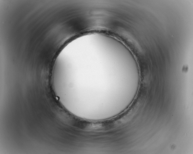 X0000103961313200809191502
