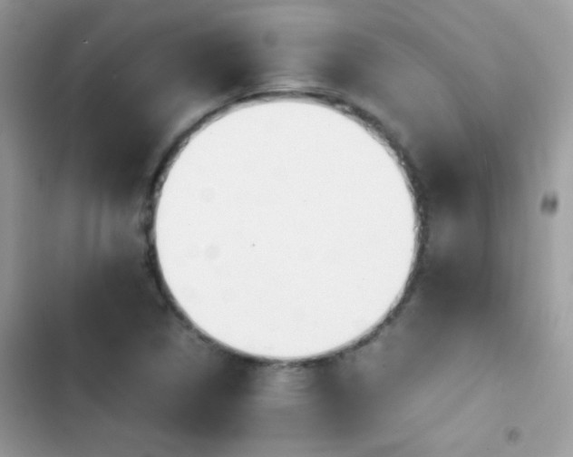 X0000103961314200809191502