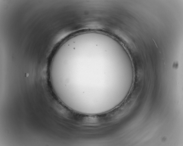 X0000103961315200809191502