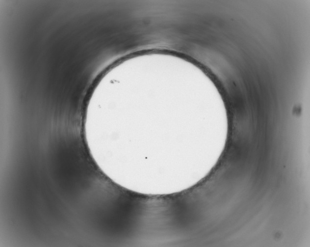 X0000103961316200809191502