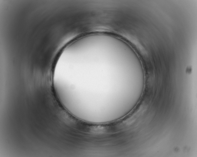X0000103961317200809191502