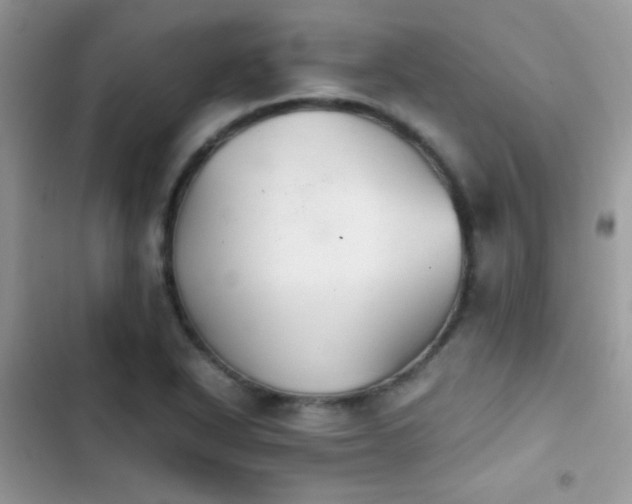 X0000103961318200809191502