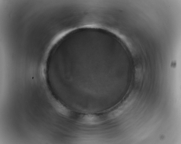 X0000103961319200809191502