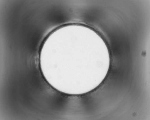 X0000103961320200809191502