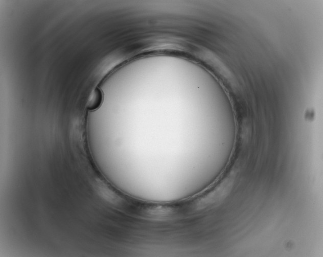 X0000103961321200809191502