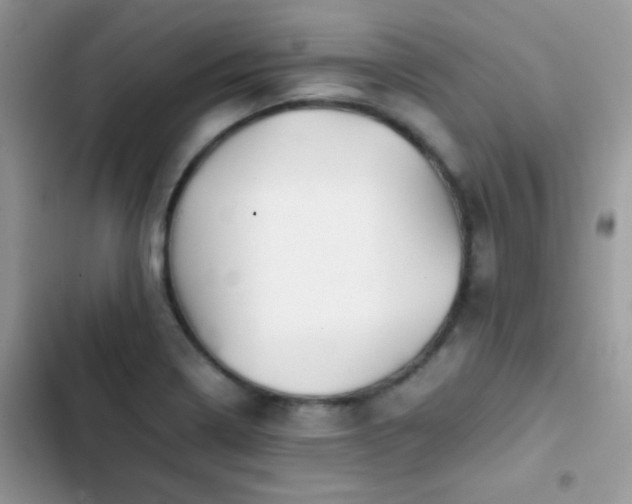 X0000103961322200809191502