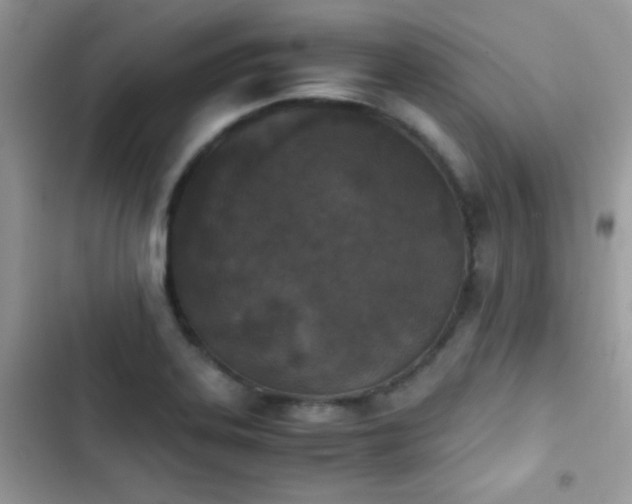 X0000103961323200809191502