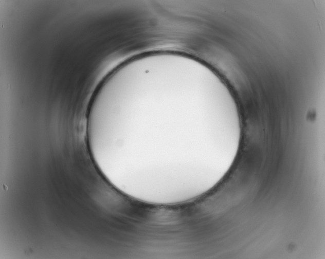 X0000103961324200809191502