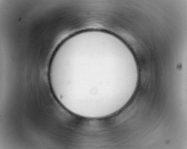 X0000103961326200809191502