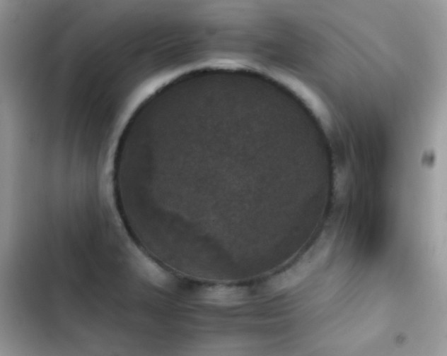 X0000103961327200809191502