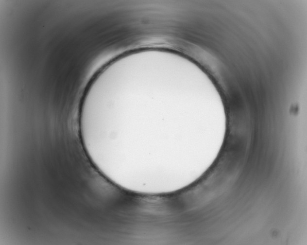 X0000103961328200809191502