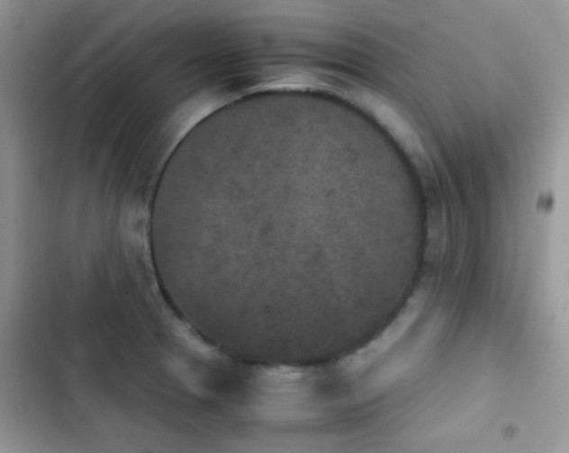 X0000103961329200809191502