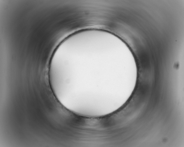 X0000103961332200809191502