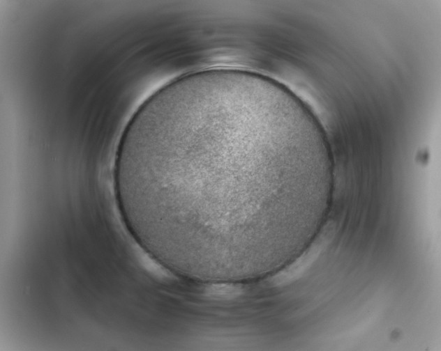 X0000103961333200809191502