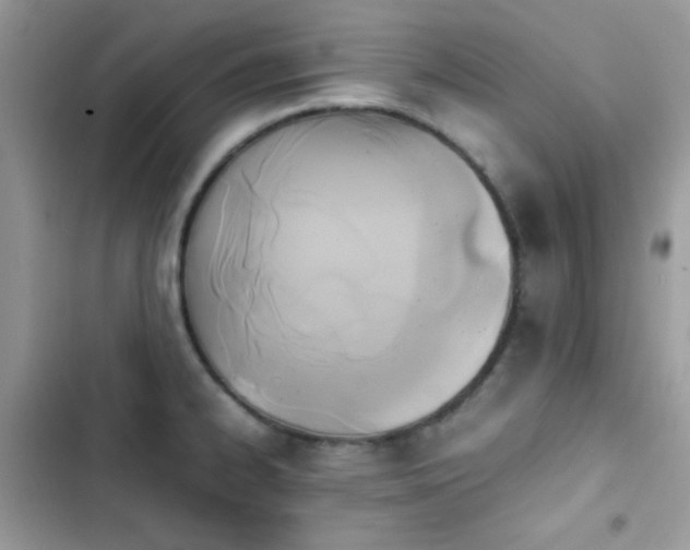 X0000103961334200809191502