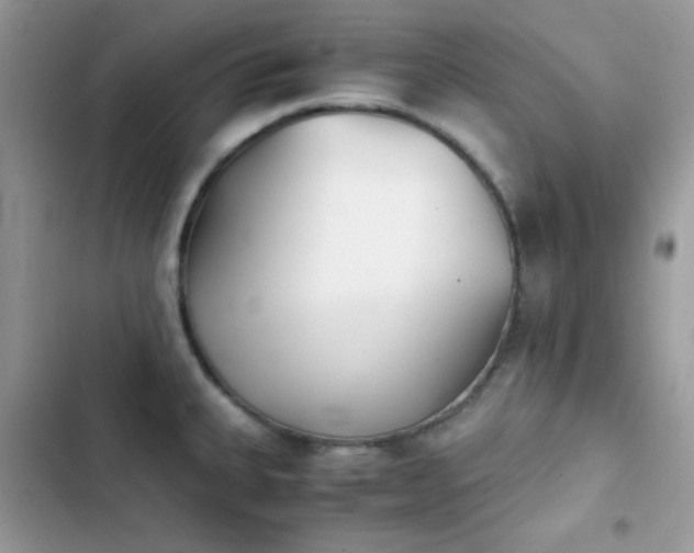 X0000103961335200809191502