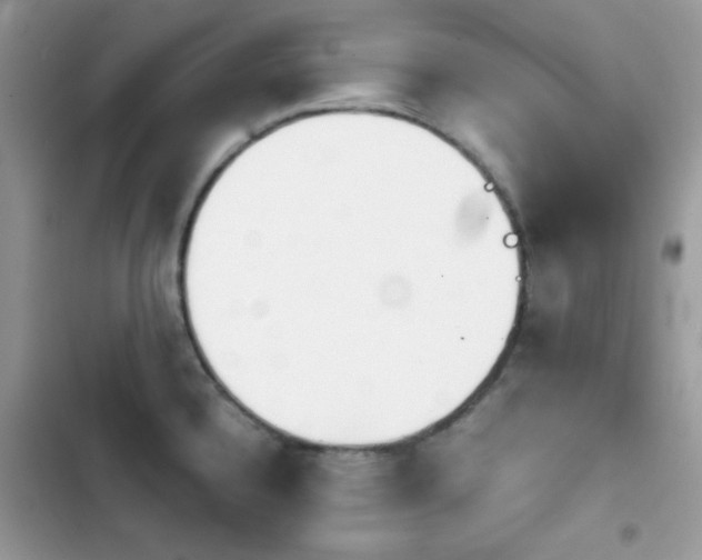 X0000103961336200809191502