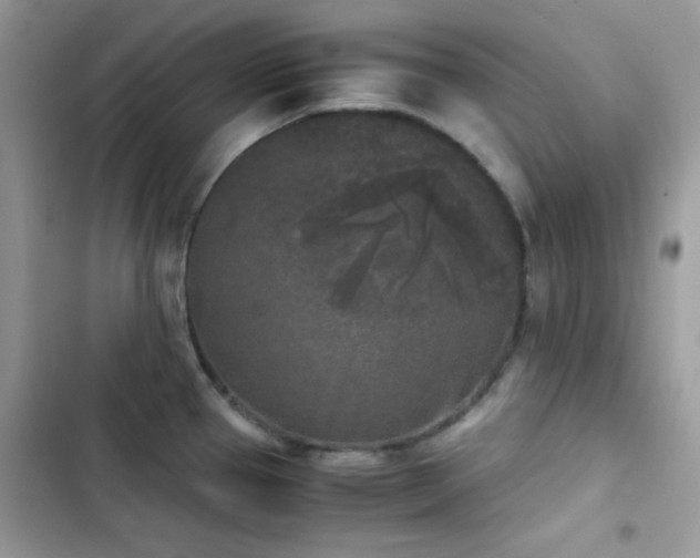 X0000103961337200809191502