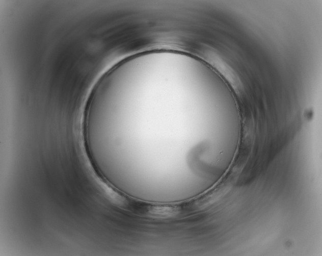 X0000103961339200809191502