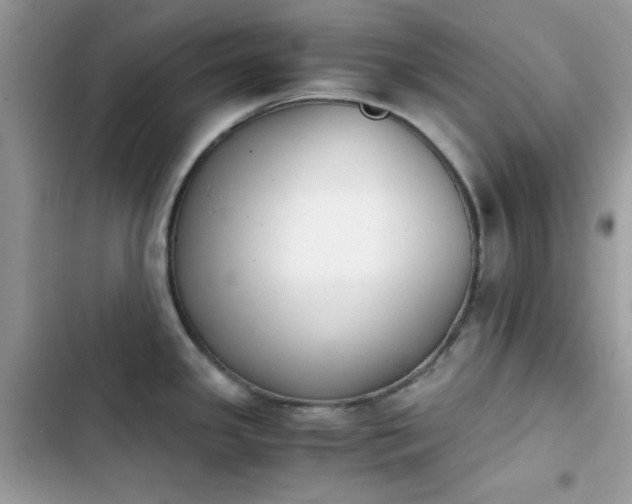 X0000103961341200809191502