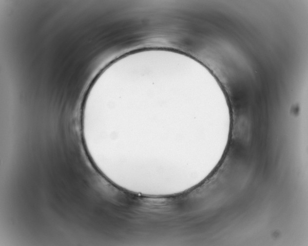 X0000103961342200809191502