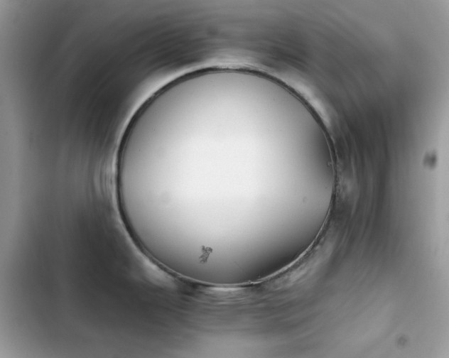 X0000103961343200809191502