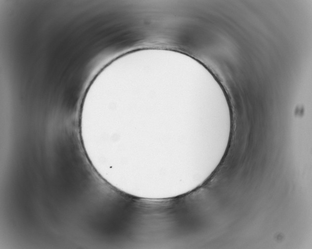 X0000103961344200809191502