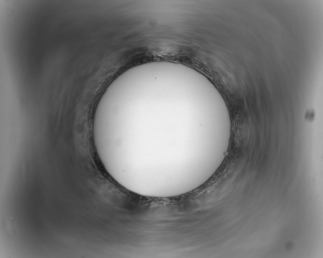 X0000103961345200809191501