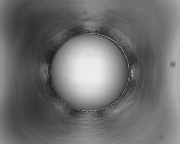 X0000103961347200809191501
