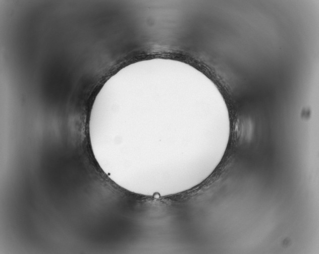 X0000103961348200809191501