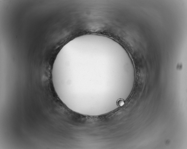 X0000103961349200809191501