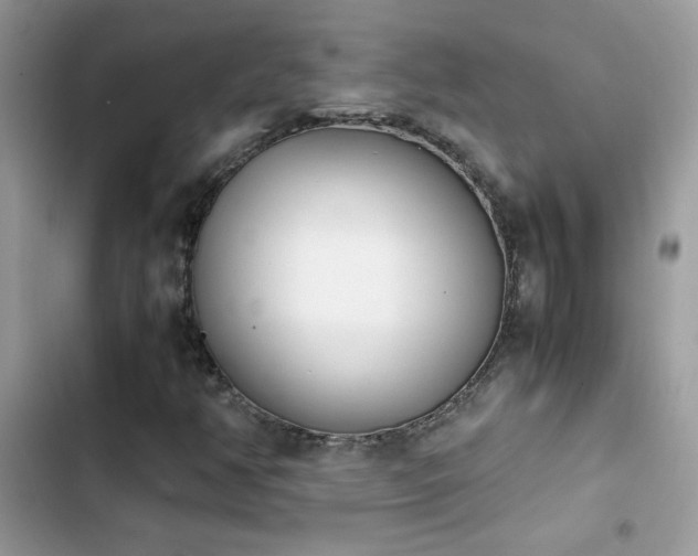 X0000103961350200809191501