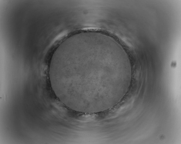 X0000103961351200809191501