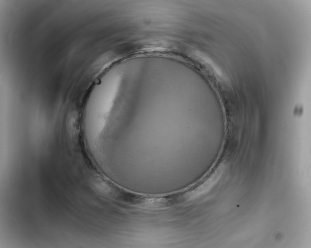 X0000103961353200809191501