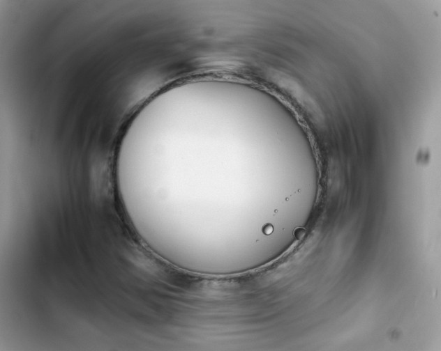 X0000103961354200809191501