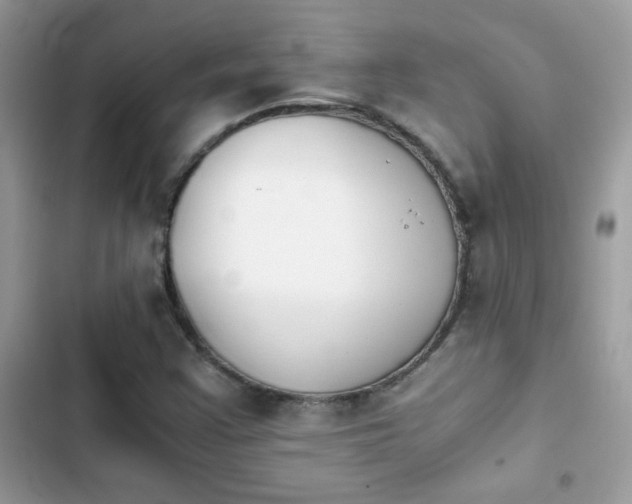 X0000103961355200809191501