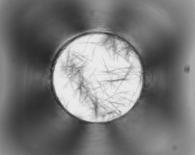 X0000103961356200809191501