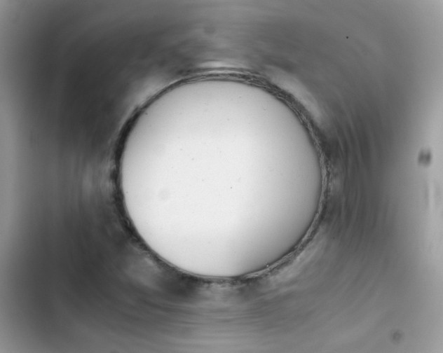 X0000103961357200809191501