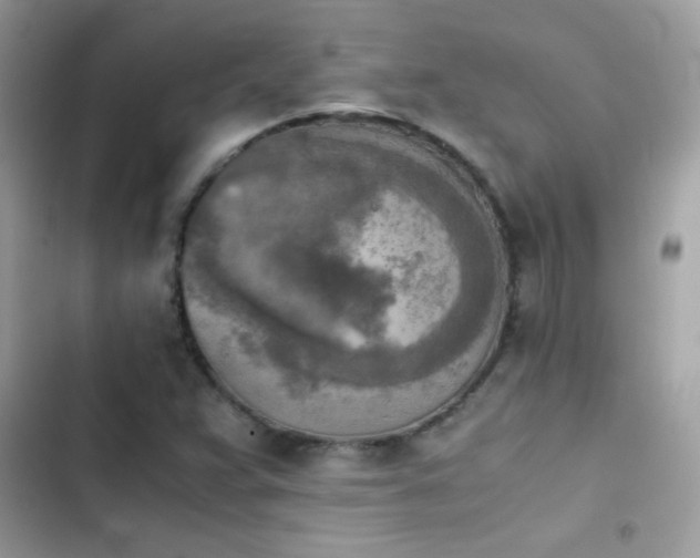 X0000103961359200809191501