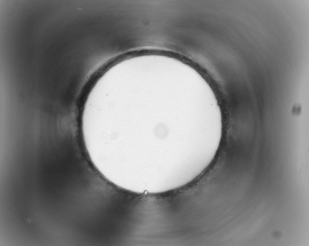 X0000103961360200809191501