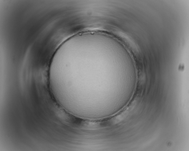 X0000103961361200809191501