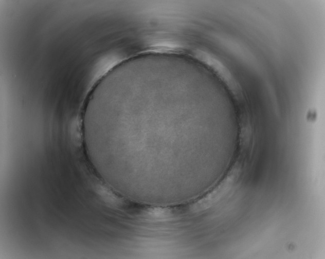 X0000103961362200809191501