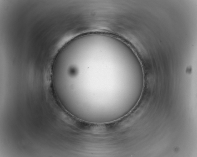 X0000103961363200809191501