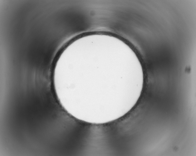 X0000103961364200809191501